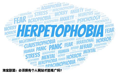 淘宝联盟必须有个人网站才能推广吗