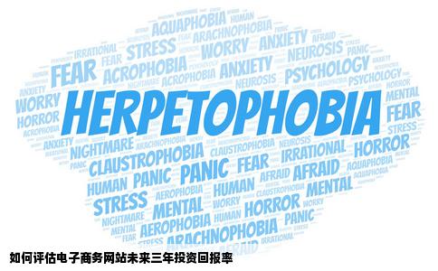 如何评估一个电子商务网站未来三年的投资回报率