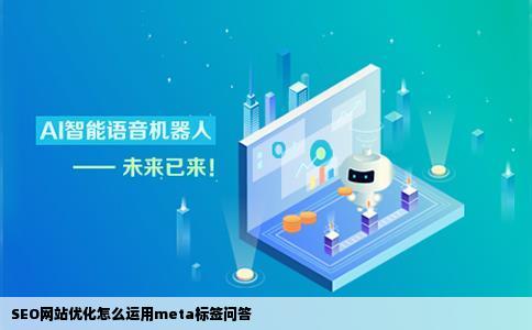 SEO网站优化怎么运用meta标签问答