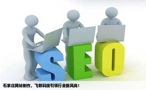 飞数科技石家庄网站制作公司石家庄网站制作哪家好