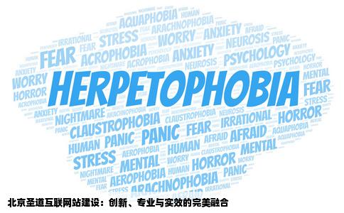 北京圣道互联网站建设
