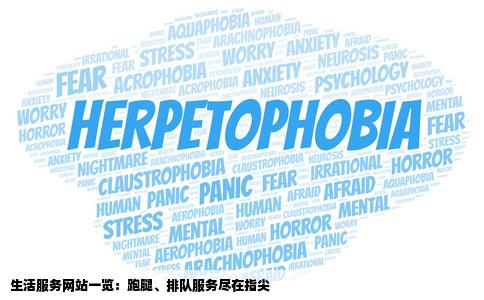 谁知道哪些网站是有生活服务的像跑腿排队这些