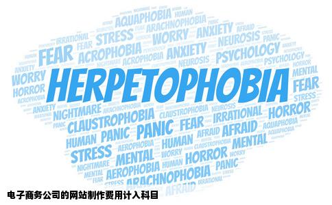 电子商务公司的网站制作费用计入什么科目