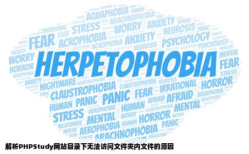 为什么访问不到phpstudy网站目录下的文件夹内的文件