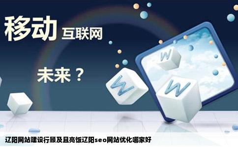 辽阳网站建设行顾及且亮饭辽阳seo网站优化哪家好