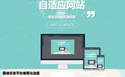 我想交些网络朋友不知道去哪个网站好谁帮忙推荐下