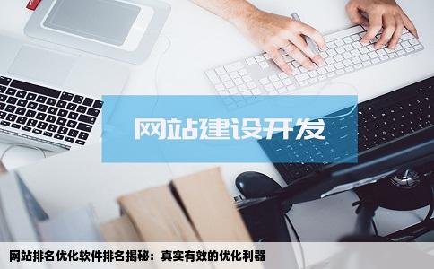 效果最好的网站排名优化软件