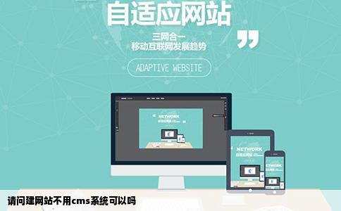 请问建网站不用cms系统可以吗