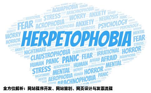 网站程序开发网站策划网页设计发票