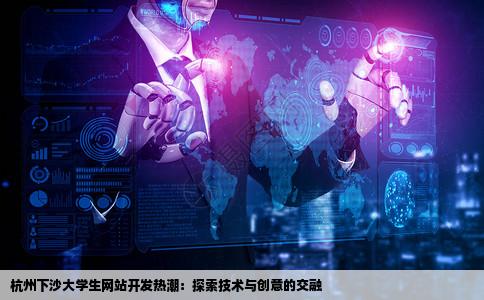 有没有在杭州下沙上大学喜欢搞网站的学生啊