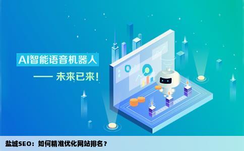 盐城seo如何更好的优化网站排名