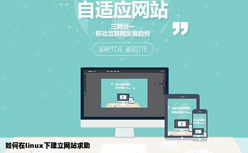 如何在linux下建立网站求助