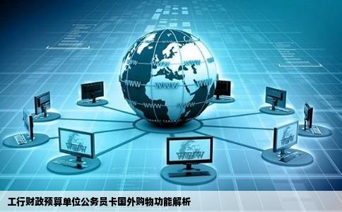 工行的财政预算单位公务员卡可以在国外网站买东西吗