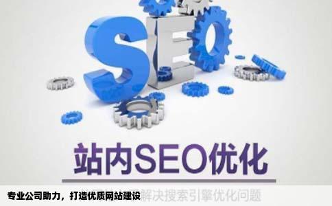 专业公司助力，打造优质网站建设