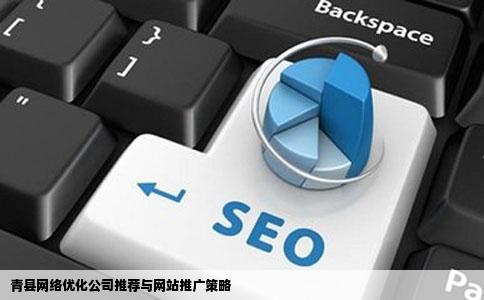 我们公司做了一个网站不知道怎么推广青县那个网络优化公司比较好