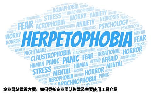 一般企业网站是怎么建设的网站建设公司帮企业做网站一般用什么