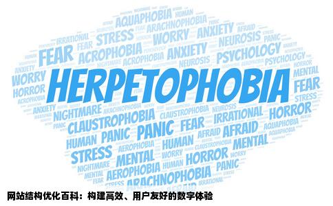 网站结构优化百科