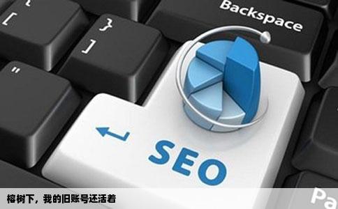 很久以前在榕树下的原创文学网站上发表过文章现在再输入自己帐号