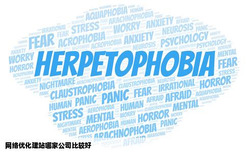 网络优化建站哪家公司比较好