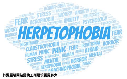 外贸服装网站露块工斯建设费用多少