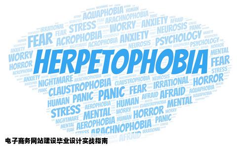 电子商务网站建设毕业设计怎么做