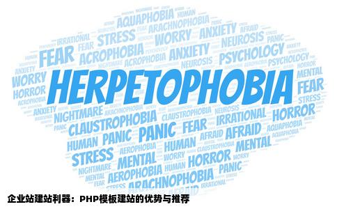 php模板建站的有哪些比较好的适合做企业站的