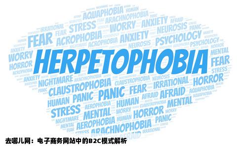 去哪儿网属于电子商务网站的B2BB2CC2C的哪种阿