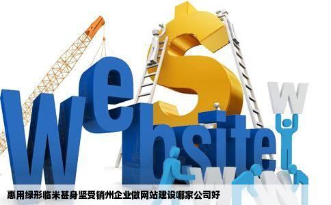 惠用绿形临米甚身坚受销州企业做网站建设哪家公司好