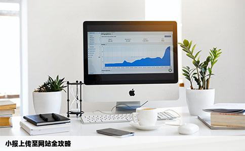 如何把小报传至网站
