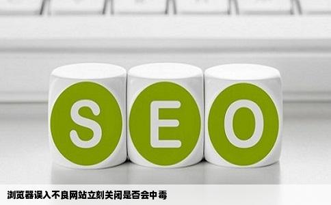 浏览器查询资料时不小心点开不良网站立即关掉了是否会中毒谢谢