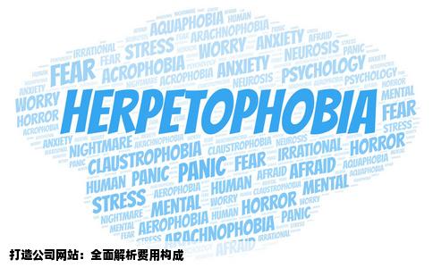 做一个公司网站大概需要花多少钱