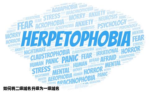 怎样把一个网站免费建站那里建的从二级域名变成一级域名