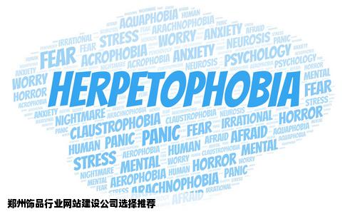 打算找家郑州的网站建设公司我们是做饰品行业的哪家比较有实力