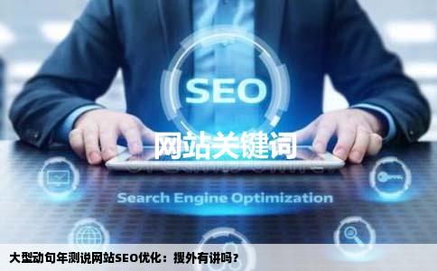 大型动句年测说网站seo优化搜外有讲吗