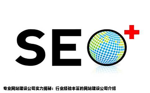 专业做网站的公司有行业网站建设经验的公司谁能介绍下呢