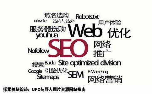 谁有关于UFO或者野人的图片网站