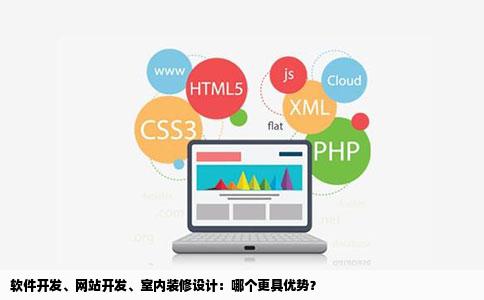 软件开发网站开发室内装修设计相对而言哪个好