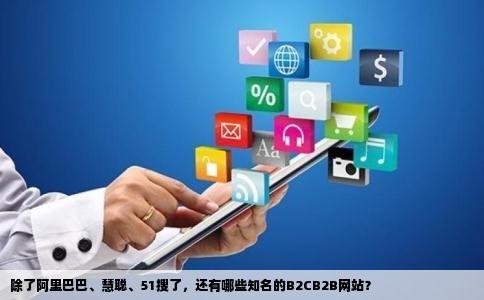 有名气的B2CB2B网站除了阿里巴巴慧聪51搜了之类的还有其他什么