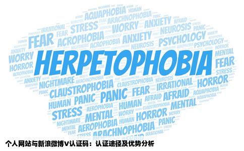 个人网站能通过新浪微博的V认证码