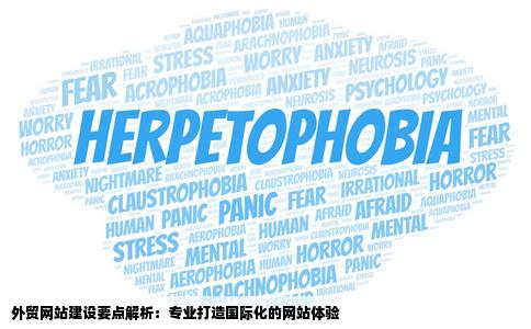外贸网站建设过程中需要注意哪些东西现在最专业的外贸网站建设