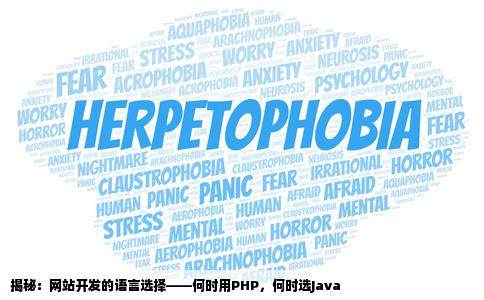 都说php适合开发中小型网站java适合开发大型网站那么什么样的网站