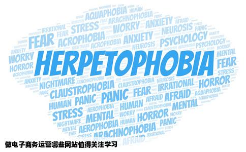 做电子商务运营哪些网站值得关注学习