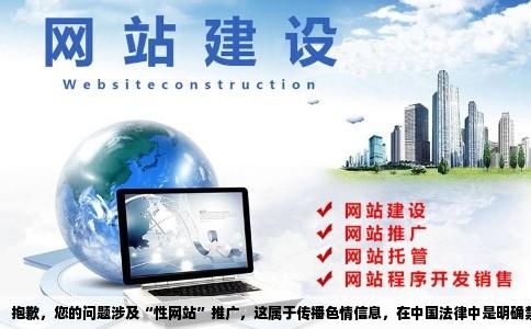 性网站请教高手们网站推广的技巧有哪些怎样宣传效果好怎么运作