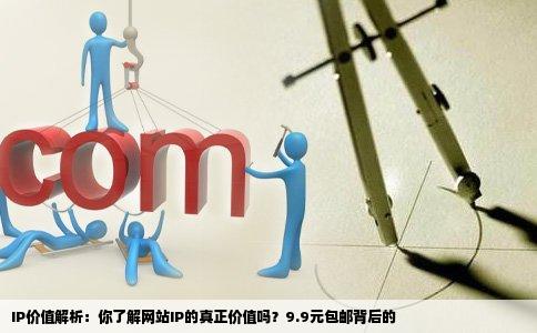 你是否知道你网站的一个ip值多少钱吗9块9包邮