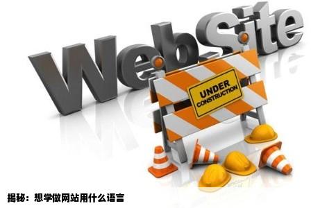 想学做网站用什么语言啊