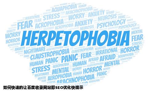 如何快速的让百度收录网站即SEO优化快提示