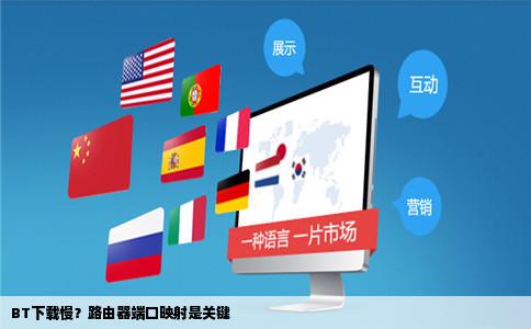 为什么我现在用BT下载速度很慢网站上说是用路由需要改端口和什么