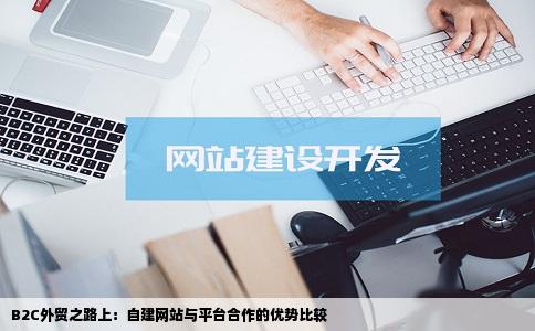 刚开始做外贸B2C是自建网站做推广还是借助平台