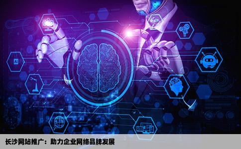 长沙网站推广长沙网络推广