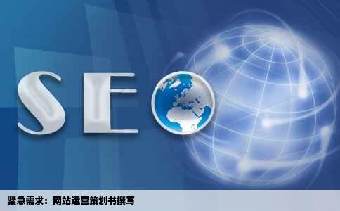 求一份网站运营策划书在线等刚走环急